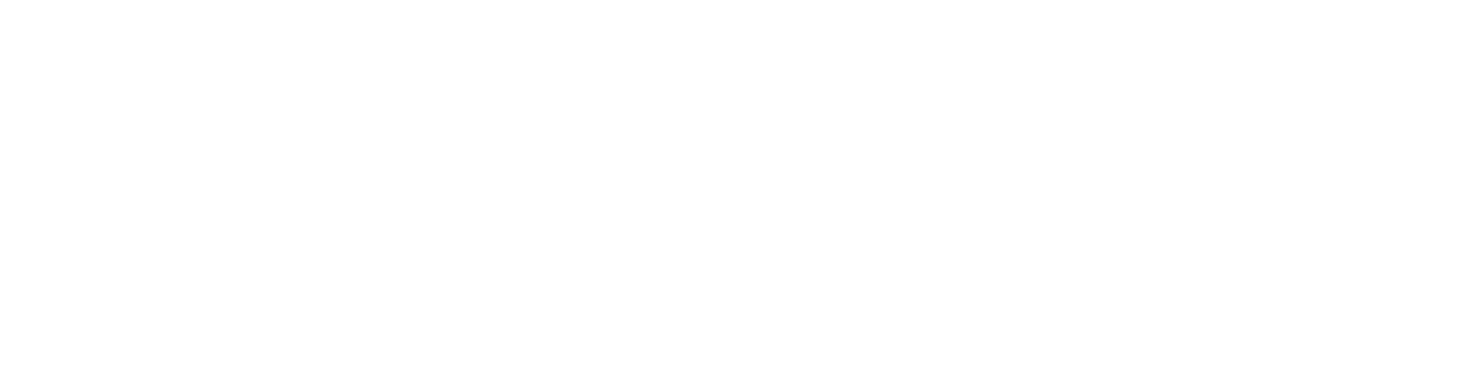 Net Works Consulting